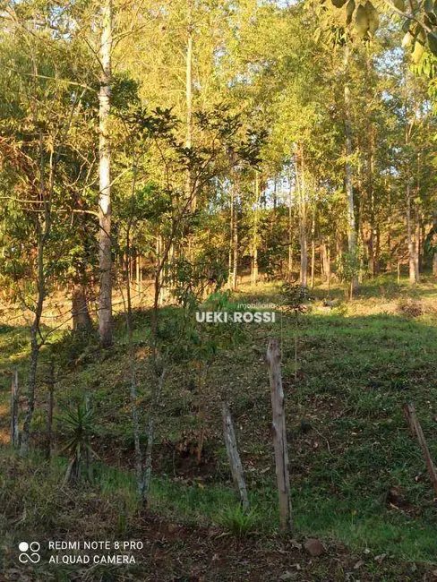 Foto 2 de Sítio / Rancho à venda, 123419m2 em Londrina - PR