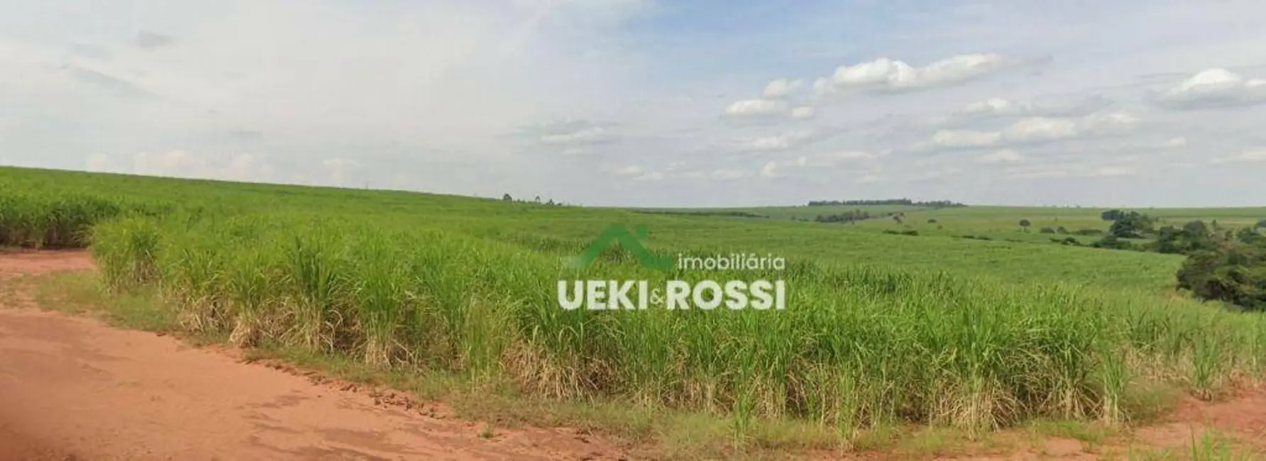 Foto 5 de Fazenda / Haras com 4 quartos à venda, 7018000m2 em Guaraci - PR