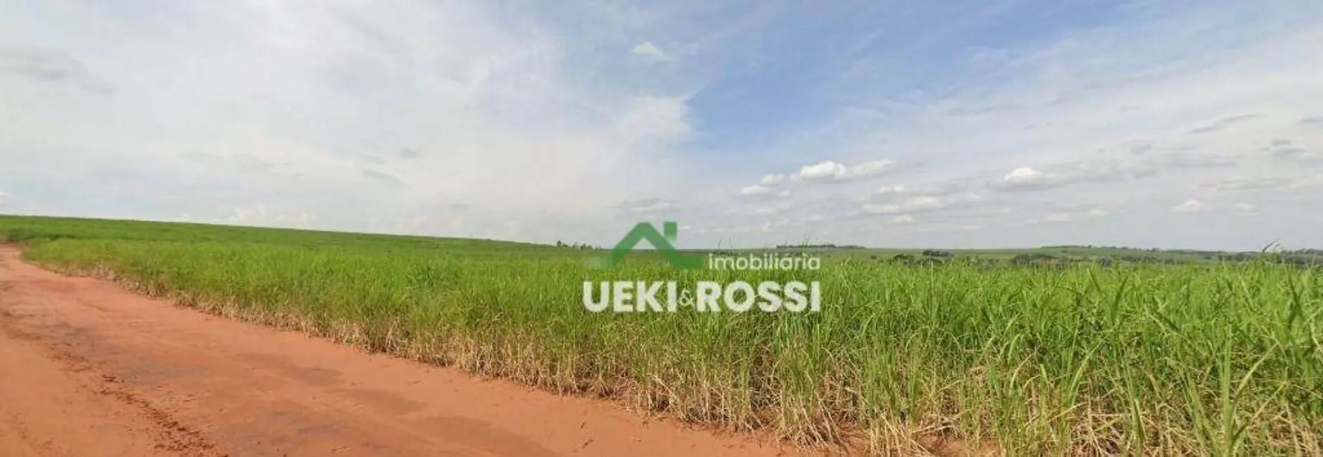 Foto 3 de Fazenda / Haras com 4 quartos à venda, 7018000m2 em Guaraci - PR