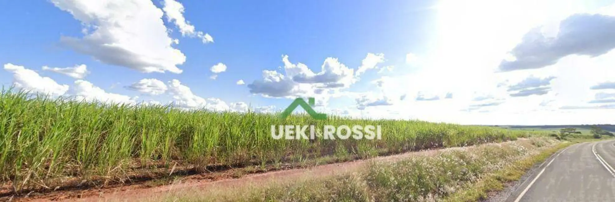 Foto 1 de Fazenda / Haras com 4 quartos à venda, 7018000m2 em Guaraci - PR