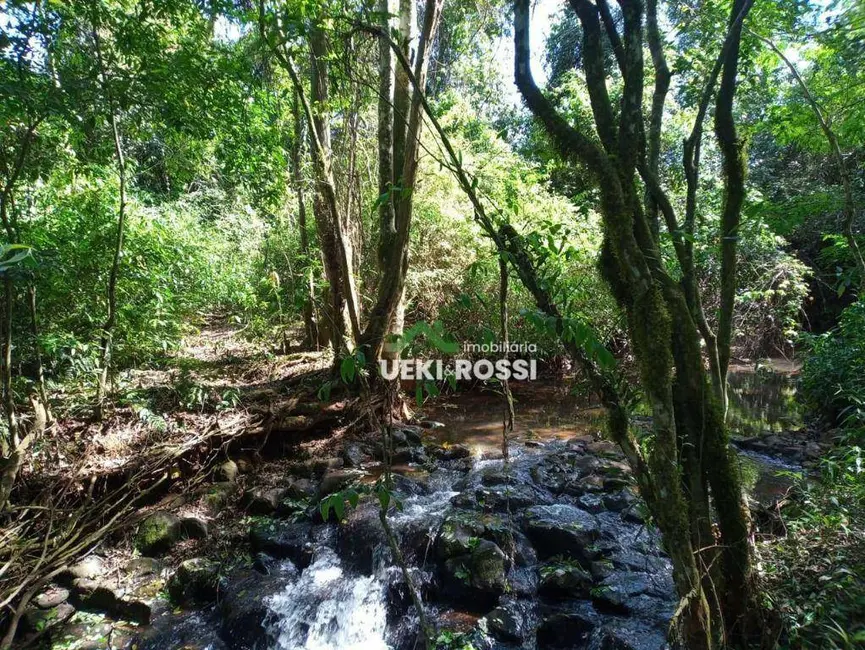 Foto 2 de Chácara com 3 quartos à venda, 6000m2 em Londrina - PR