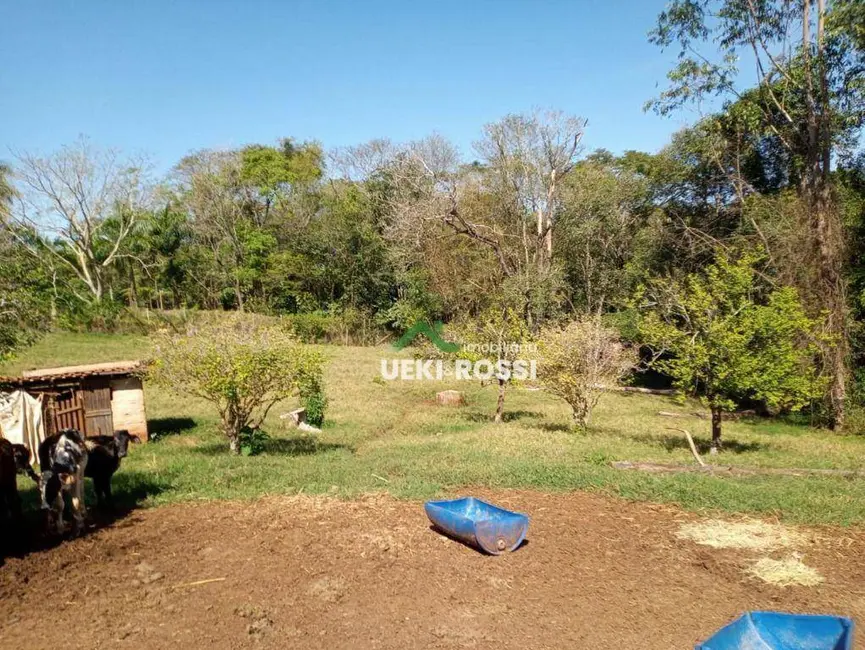 Chácara com 3 quartos à venda, 6000m2 em Londrina - PR - imagem 7 Foto 7 de Chácara com 3 quartos à venda, 6000m2 em Londrina - PR