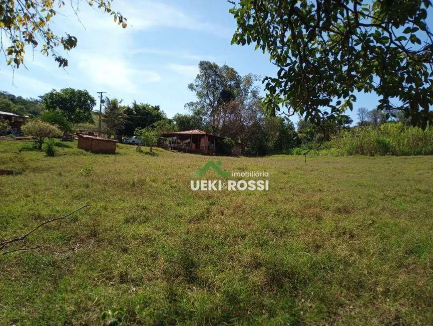 Chácara com 3 quartos à venda, 6000m2 em Londrina - PR - imagem 3 Foto 3 de Chácara com 3 quartos à venda, 6000m2 em Londrina - PR