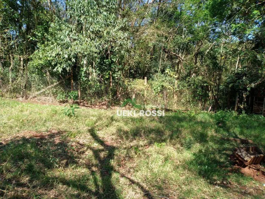 Chácara com 3 quartos à venda, 6000m2 em Londrina - PR - imagem 8 Foto 8 de Chácara com 3 quartos à venda, 6000m2 em Londrina - PR