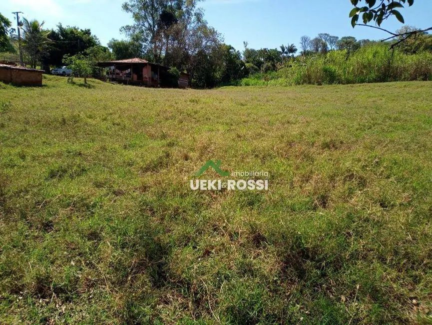 Chácara com 3 quartos à venda, 6000m2 em Londrina - PR - imagem 4 Foto 4 de Chácara com 3 quartos à venda, 6000m2 em Londrina - PR