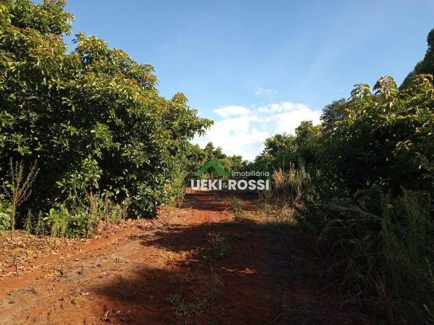 Sítio / Rancho à venda, 205700m2 em Londrina - PR - imagem 1 Foto 1 de Sítio / Rancho à venda, 205700m2 em Londrina - PR