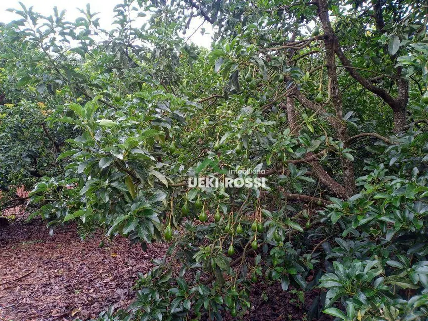 Sítio / Rancho à venda, 205700m2 em Londrina - PR - imagem 4 Foto 4 de Sítio / Rancho à venda, 205700m2 em Londrina - PR