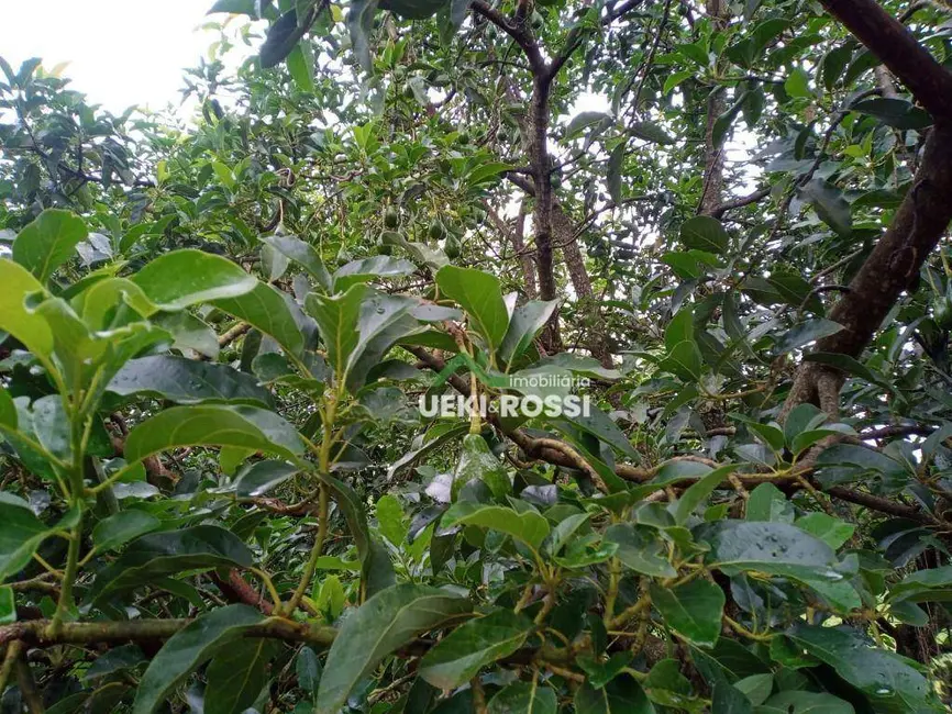 Sítio / Rancho à venda, 205700m2 em Londrina - PR - imagem 2 Foto 2 de Sítio / Rancho à venda, 205700m2 em Londrina - PR