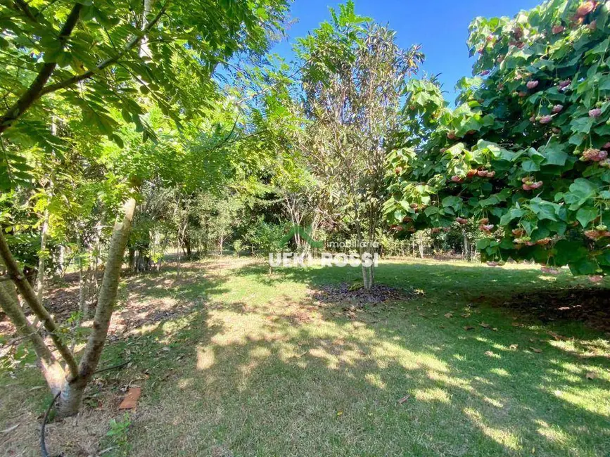 Foto 6 de Chácara com 3 quartos à venda, 34000m2 em Centro, Ibipora - PR