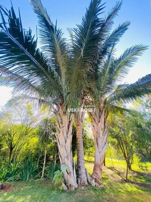 Foto 2 de Chácara com 3 quartos à venda, 34000m2 em Centro, Ibipora - PR
