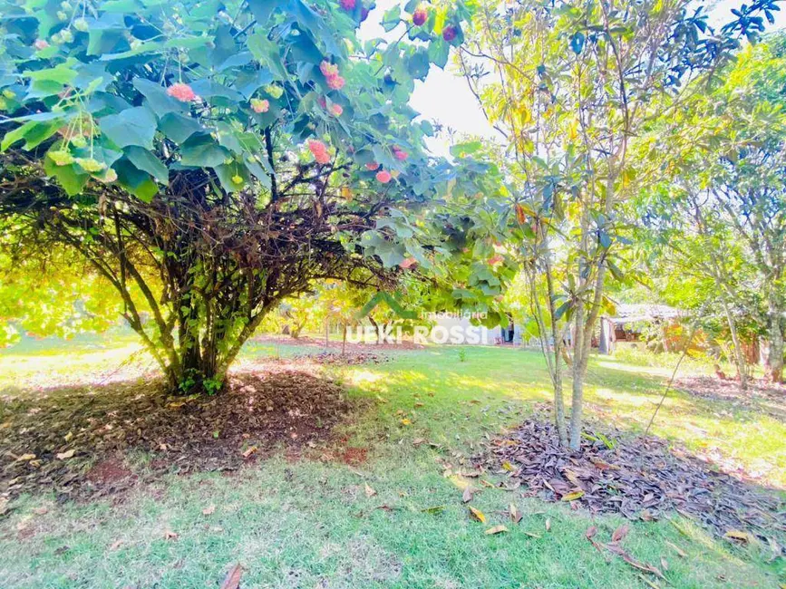 Foto 7 de Chácara com 3 quartos à venda, 34000m2 em Centro, Ibipora - PR