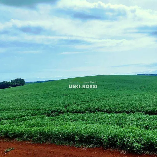 Fazenda / Haras com 3 quartos à venda, 1452000m2 em Londrina - PR - imagem 5 Foto 5 de Fazenda / Haras com 3 quartos à venda, 1452000m2 em Londrina - PR