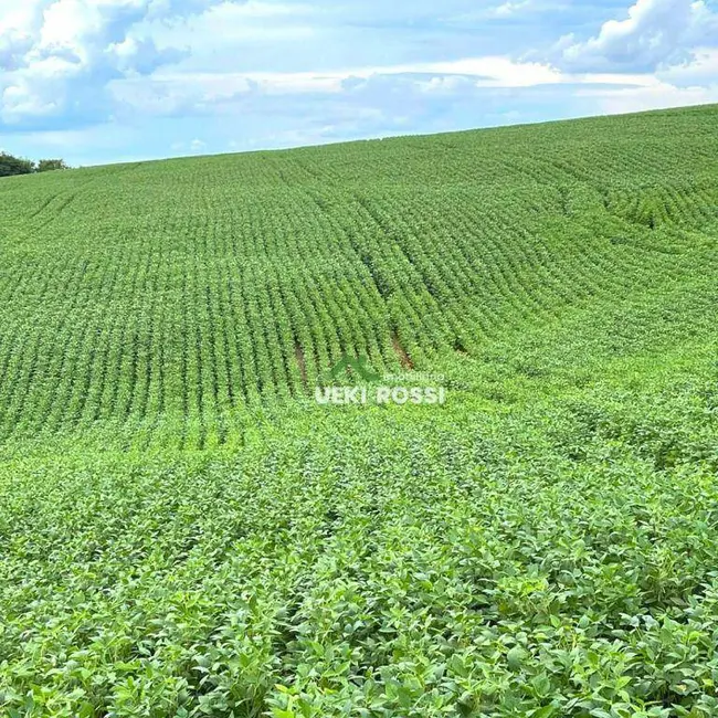 Foto 2 de Fazenda / Haras com 3 quartos à venda, 1452000m2 em Londrina - PR