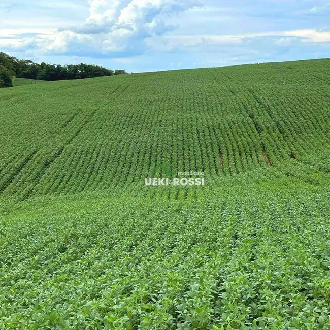 Foto 1 de Fazenda / Haras com 3 quartos à venda, 1452000m2 em Londrina - PR