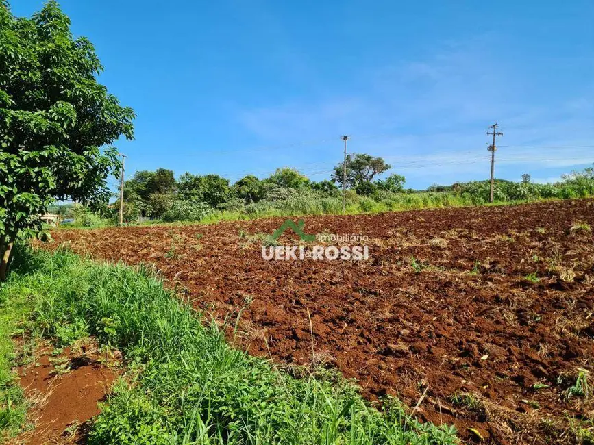 Chácara à venda, 4000m2 em Londrina - PR - imagem 3 Foto 3 de Chácara à venda, 4000m2 em Londrina - PR