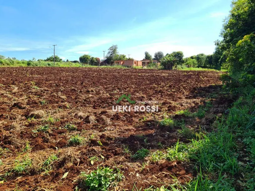Chácara à venda, 4000m2 em Londrina - PR - imagem 4 Foto 4 de Chácara à venda, 4000m2 em Londrina - PR