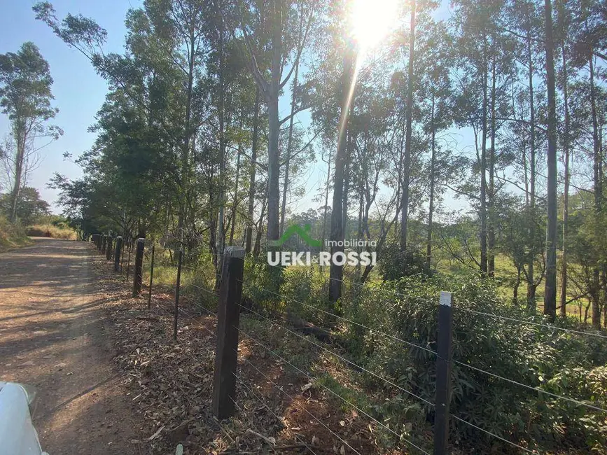 Chácara à venda, 22916m2 em Londrina - PR - imagem 7 Foto 7 de Chácara à venda, 22916m2 em Londrina - PR