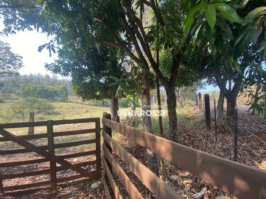 Chácara à venda, 22916m2 em Londrina - PR - imagem 6 Foto 6 de Chácara à venda, 22916m2 em Londrina - PR