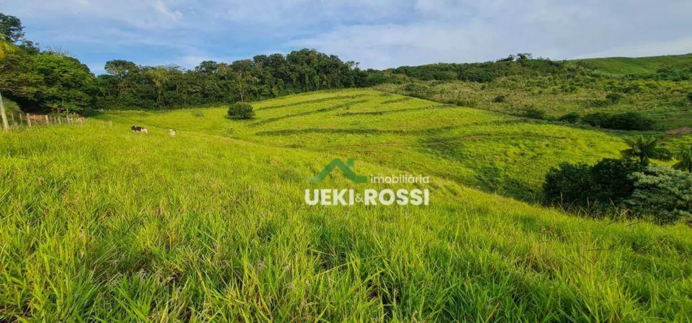Foto 3 de Chácara à venda, 40000m2 em Vila Rural Nova Ukrania, Apucarana - PR