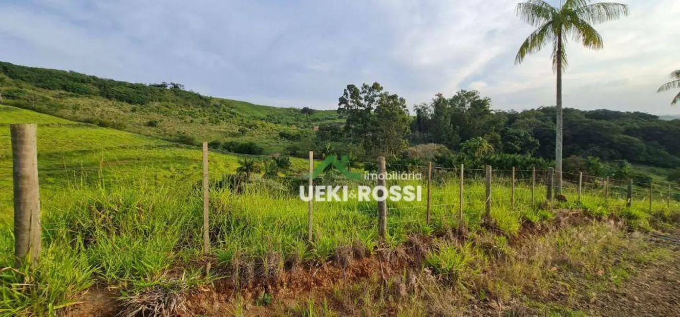 Foto 8 de Chácara à venda, 40000m2 em Vila Rural Nova Ukrania, Apucarana - PR