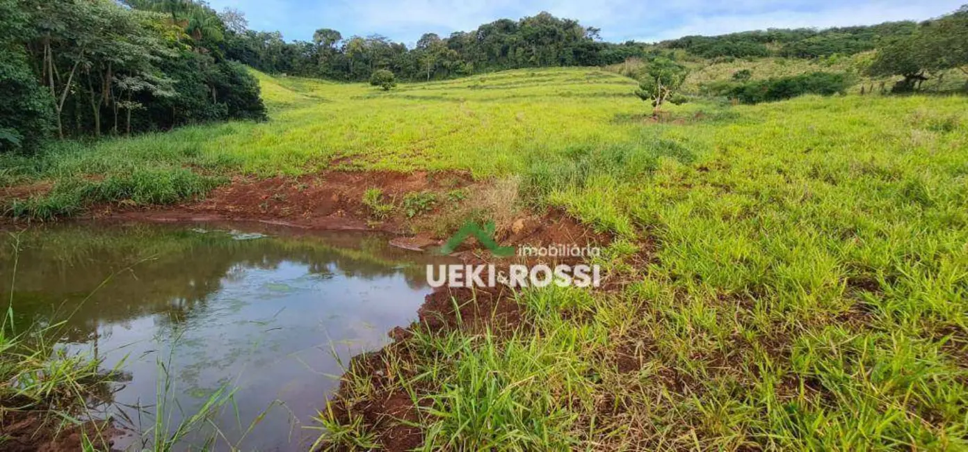 Foto 5 de Chácara à venda, 40000m2 em Vila Rural Nova Ukrania, Apucarana - PR