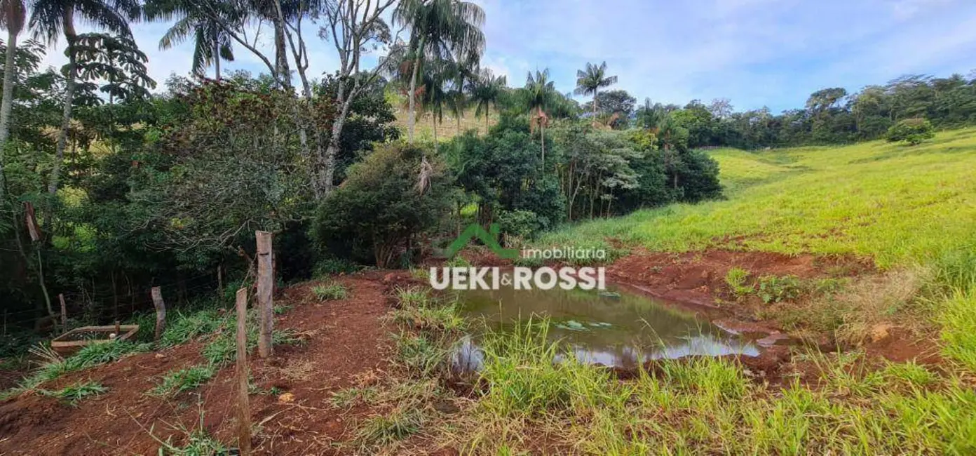 Foto 9 de Chácara à venda, 40000m2 em Vila Rural Nova Ukrania, Apucarana - PR