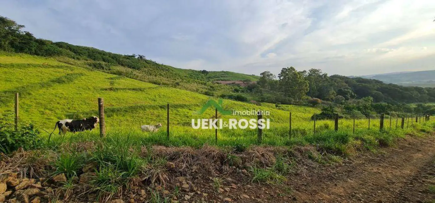 Foto 1 de Chácara à venda, 40000m2 em Vila Rural Nova Ukrania, Apucarana - PR