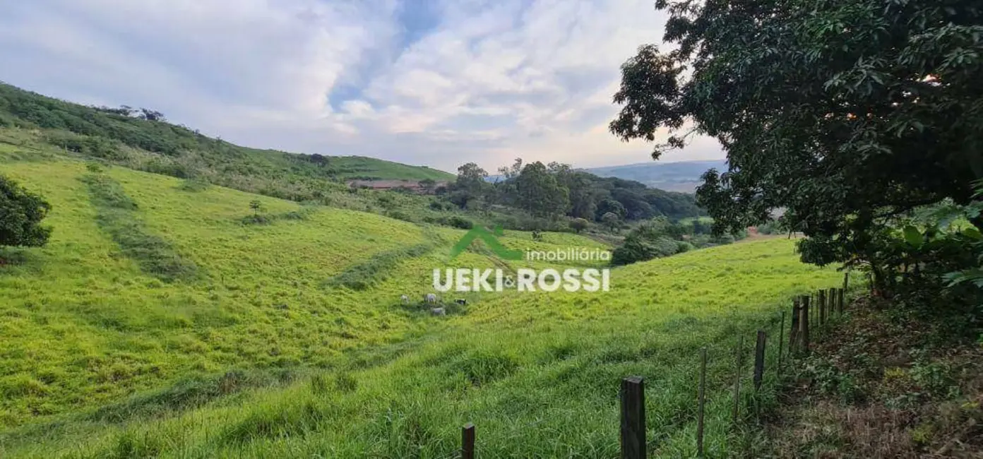 Foto 10 de Chácara à venda, 40000m2 em Vila Rural Nova Ukrania, Apucarana - PR