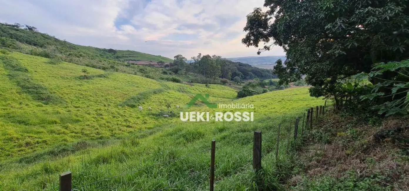 Foto 13 de Chácara à venda, 40000m2 em Vila Rural Nova Ukrania, Apucarana - PR