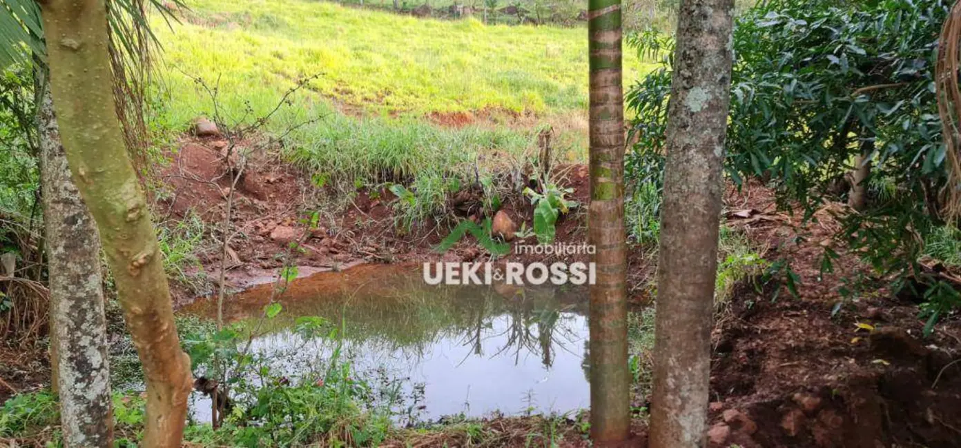 Foto 11 de Chácara à venda, 40000m2 em Vila Rural Nova Ukrania, Apucarana - PR