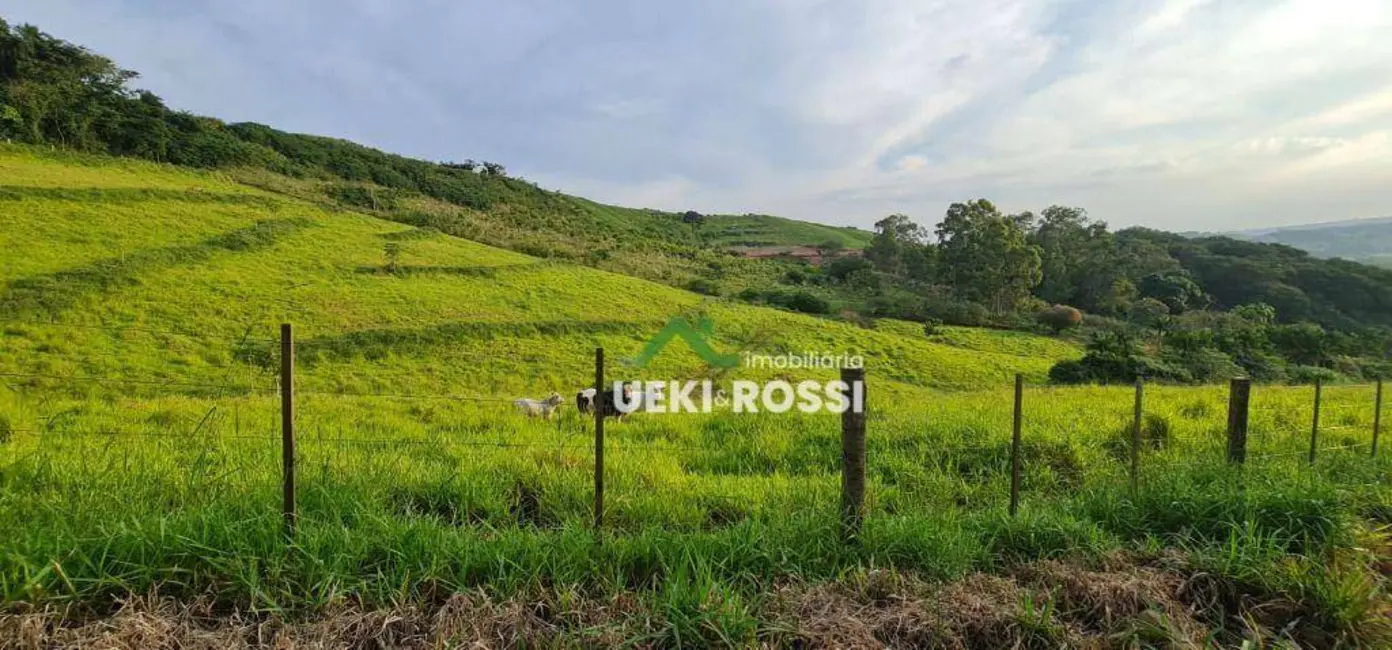 Foto 6 de Chácara à venda, 40000m2 em Vila Rural Nova Ukrania, Apucarana - PR