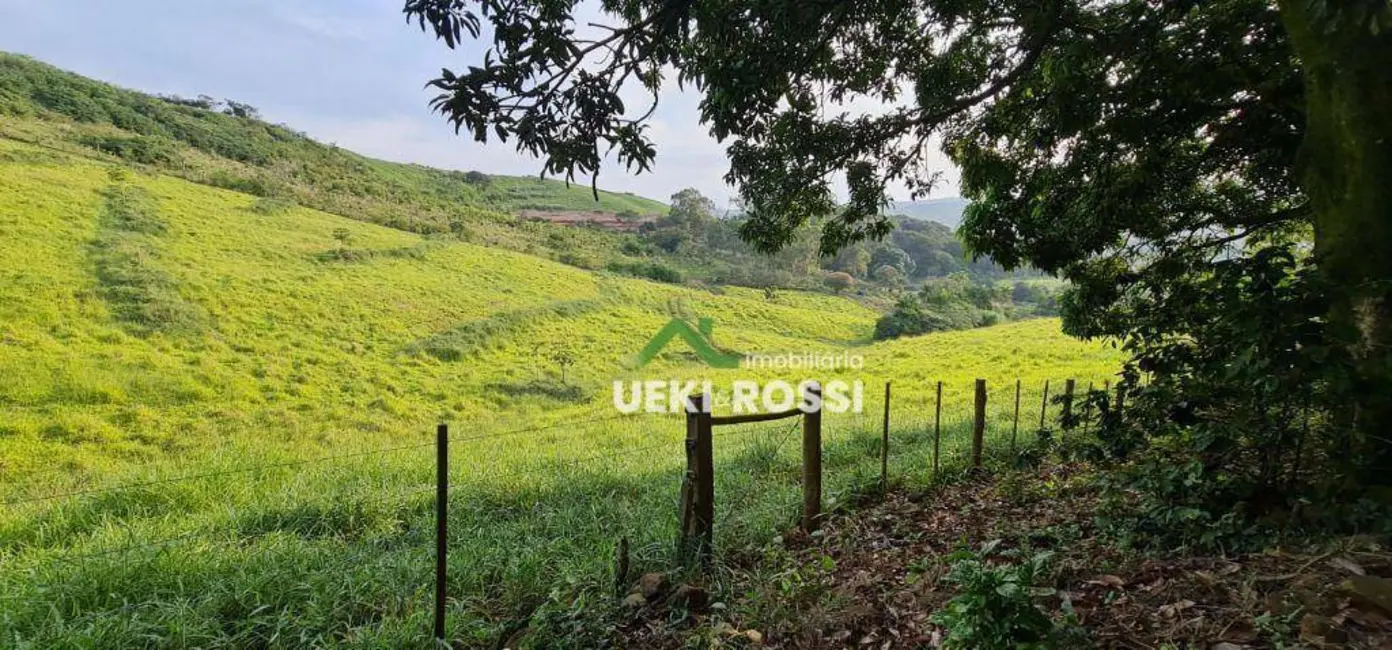 Foto 2 de Chácara à venda, 40000m2 em Vila Rural Nova Ukrania, Apucarana - PR