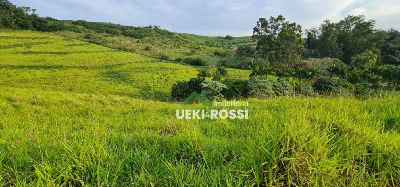 Foto 4 de Chácara à venda, 40000m2 em Vila Rural Nova Ukrania, Apucarana - PR