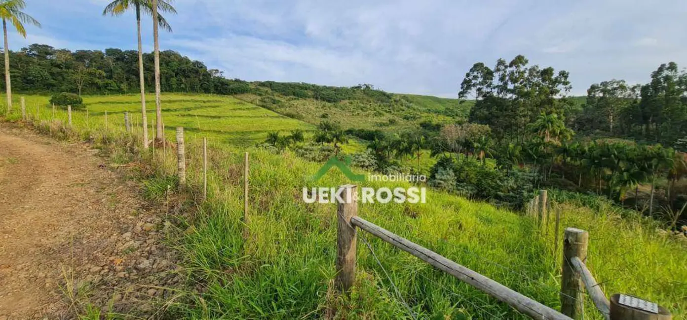 Foto 7 de Chácara à venda, 40000m2 em Vila Rural Nova Ukrania, Apucarana - PR