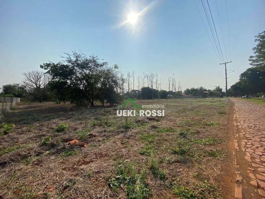 Foto 5 de Chácara à venda, 6528m2 em Ibipora - PR