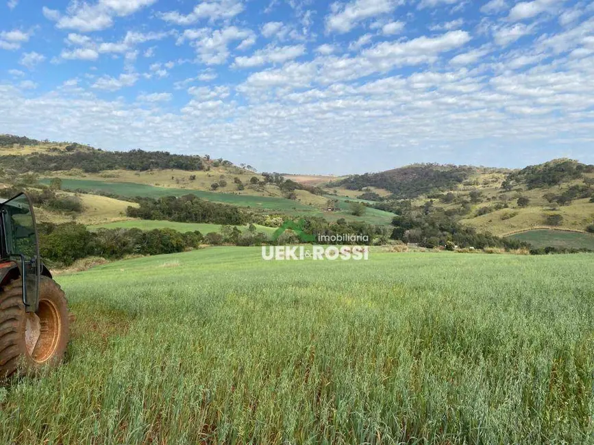 Sítio / Rancho com 3 quartos à venda, 205700m2 em Londrina - PR - imagem 7 Foto 7 de Sítio / Rancho com 3 quartos à venda, 205700m2 em Londrina - PR