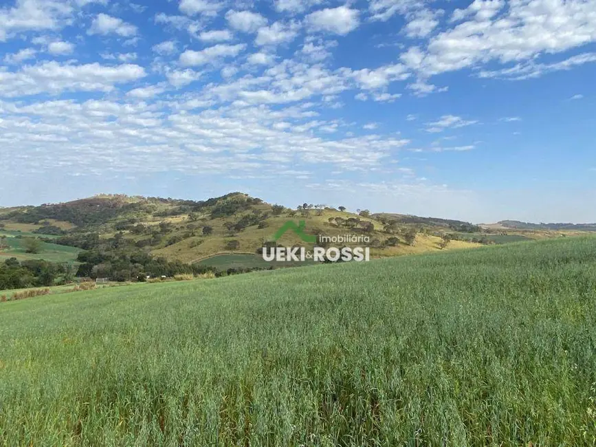 Foto 1 de Sítio / Rancho com 3 quartos à venda, 205700m2 em Londrina - PR