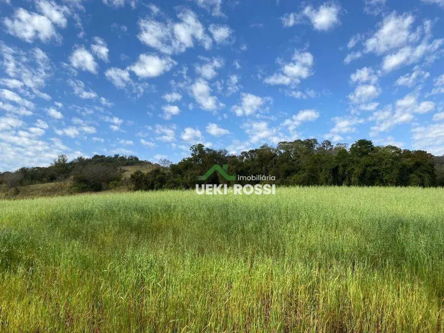 Sítio / Rancho com 3 quartos à venda, 205700m2 em Londrina - PR - imagem 5 Foto 5 de Sítio / Rancho com 3 quartos à venda, 205700m2 em Londrina - PR