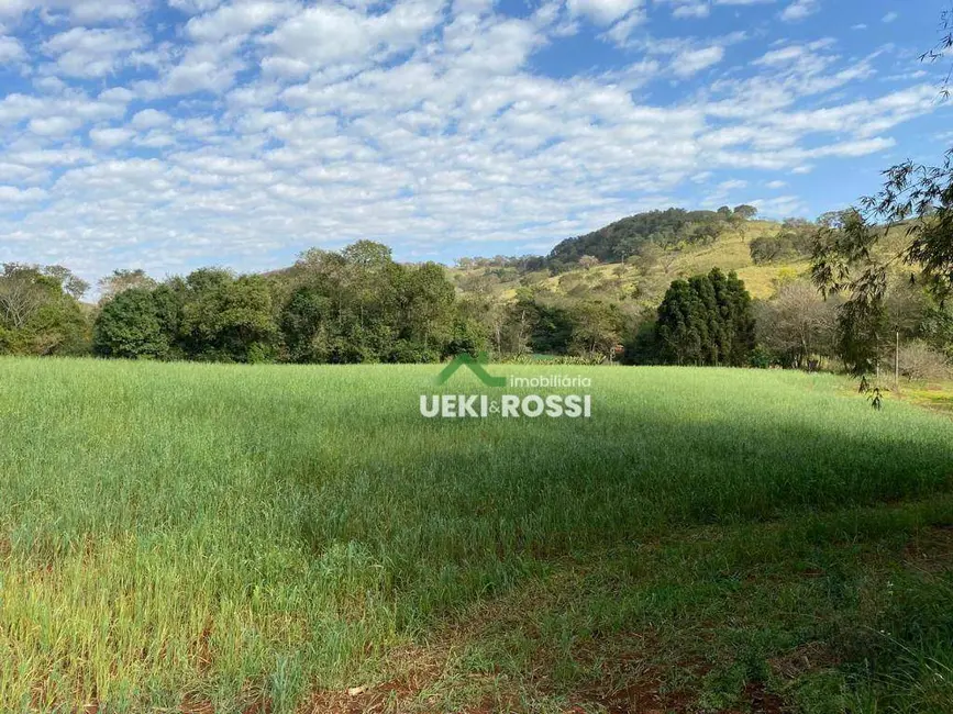Sítio / Rancho com 3 quartos à venda, 205700m2 em Londrina - PR - imagem 4 Foto 4 de Sítio / Rancho com 3 quartos à venda, 205700m2 em Londrina - PR
