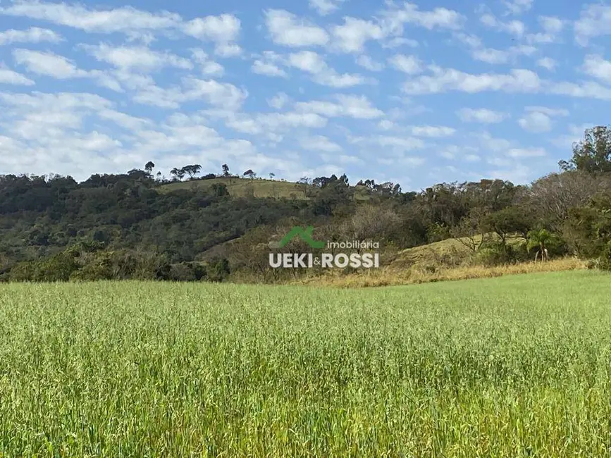 Sítio / Rancho com 3 quartos à venda, 205700m2 em Londrina - PR - imagem 9 Foto 9 de Sítio / Rancho com 3 quartos à venda, 205700m2 em Londrina - PR