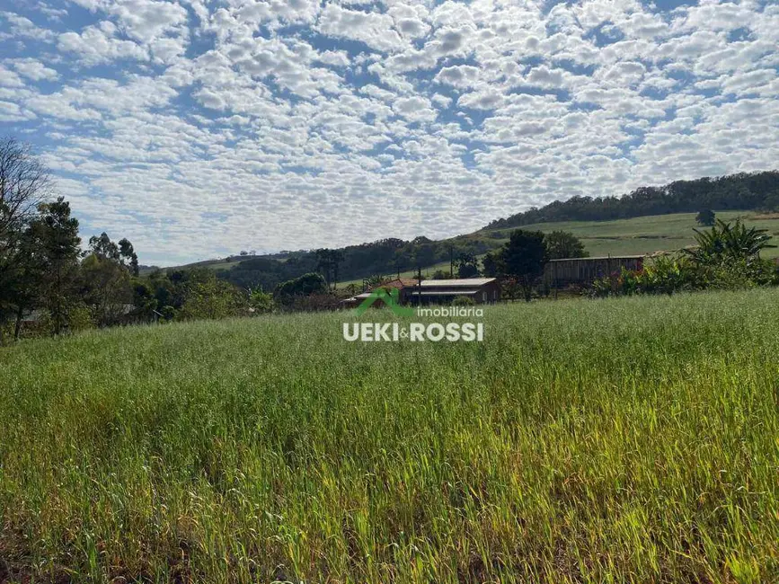 Sítio / Rancho com 3 quartos à venda, 205700m2 em Londrina - PR - imagem 6 Foto 6 de Sítio / Rancho com 3 quartos à venda, 205700m2 em Londrina - PR