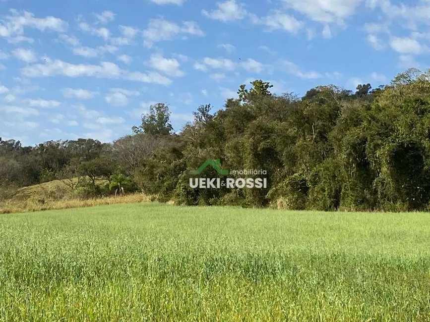 Sítio / Rancho com 3 quartos à venda, 205700m2 em Londrina - PR - imagem 8 Foto 8 de Sítio / Rancho com 3 quartos à venda, 205700m2 em Londrina - PR