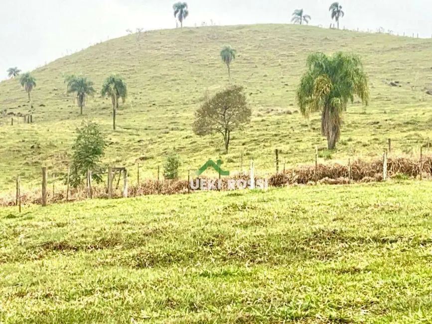 Foto 8 de Fazenda / Haras com 3 quartos à venda, 1875500m2 em Santa Maria Do Oeste - PR
