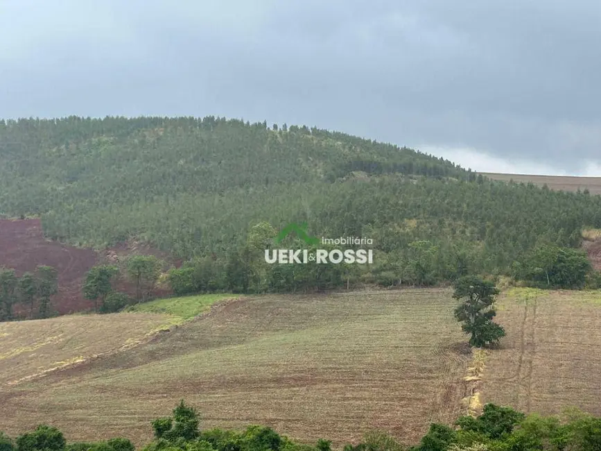 Foto 1 de Chácara à venda, 22000m2 em Londrina - PR