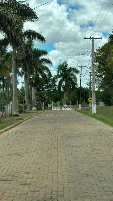 Chácara à venda, 4200m2 em Alvorada Do Sul - PR - imagem 9 Foto 9 de Chácara à venda, 4200m2 em Alvorada Do Sul - PR