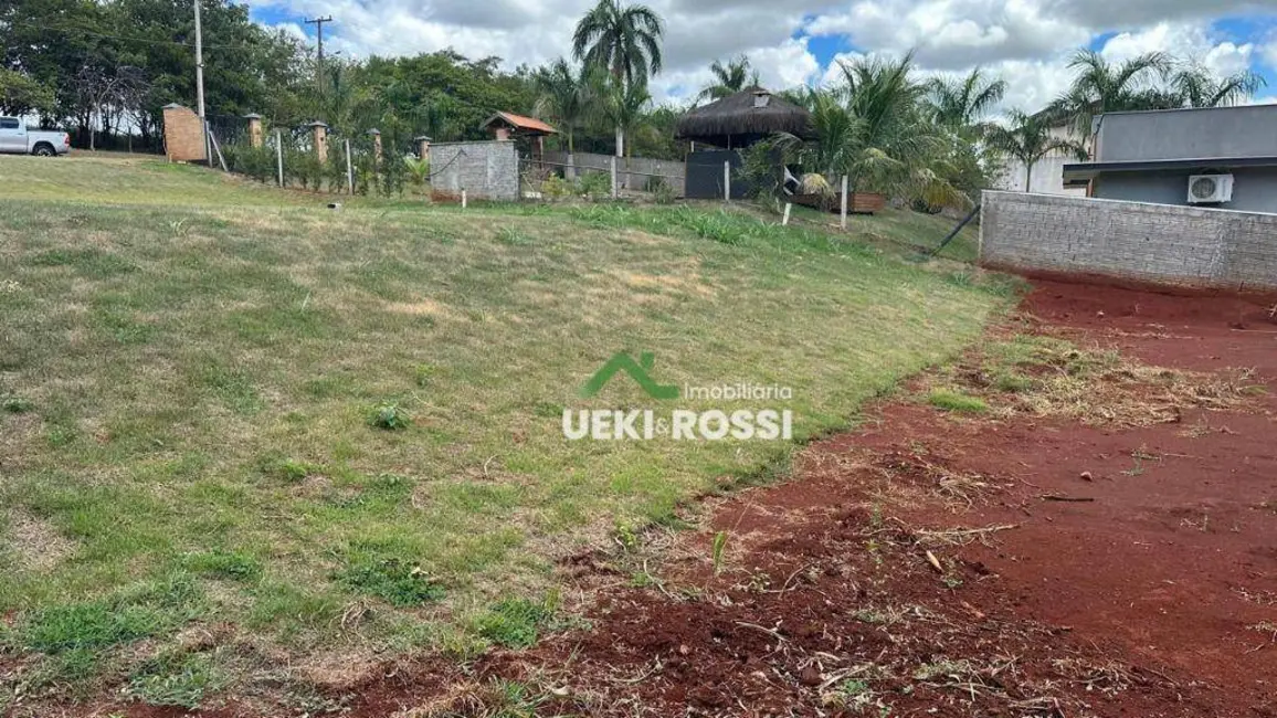 Chácara à venda, 4200m2 em Alvorada Do Sul - PR - imagem 6 Foto 6 de Chácara à venda, 4200m2 em Alvorada Do Sul - PR