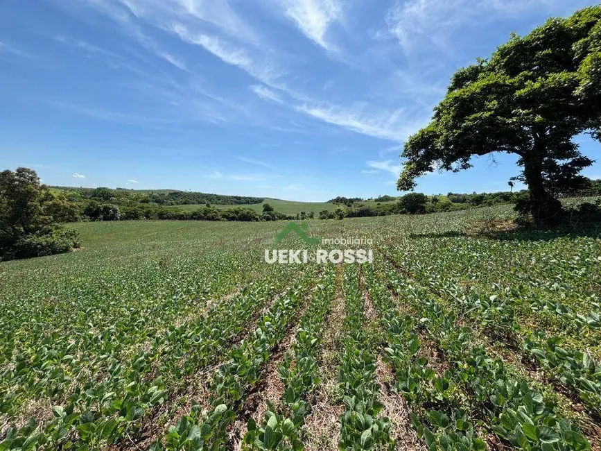 Foto 8 de Sítio / Rancho à venda, 387200m2 em Bela Vista Do Paraiso - PR
