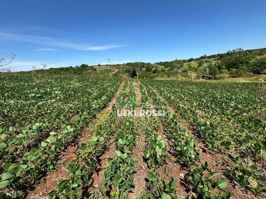 Foto 9 de Sítio / Rancho à venda, 387200m2 em Bela Vista Do Paraiso - PR