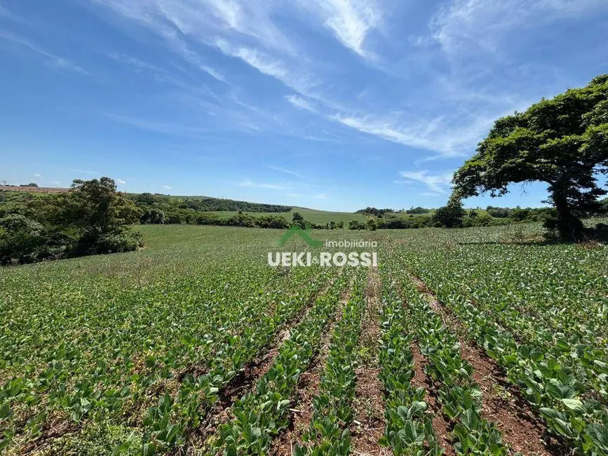 Foto 6 de Sítio / Rancho à venda, 387200m2 em Bela Vista Do Paraiso - PR