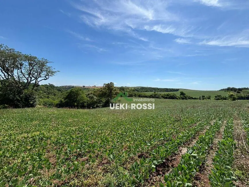 Foto 5 de Sítio / Rancho à venda, 387200m2 em Bela Vista Do Paraiso - PR